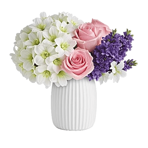 Ivory Blossom Radiance