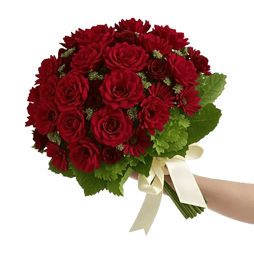 Coral Blossom Harmony