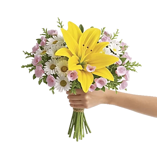 Blossom Harmony Display