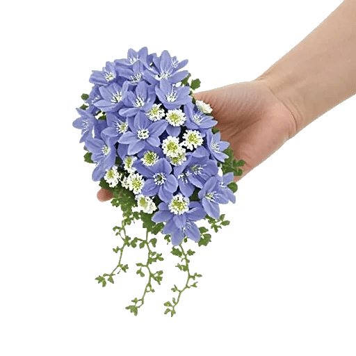 Delicate Petal Cascade