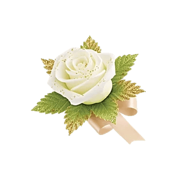 Golden Rose Radiance