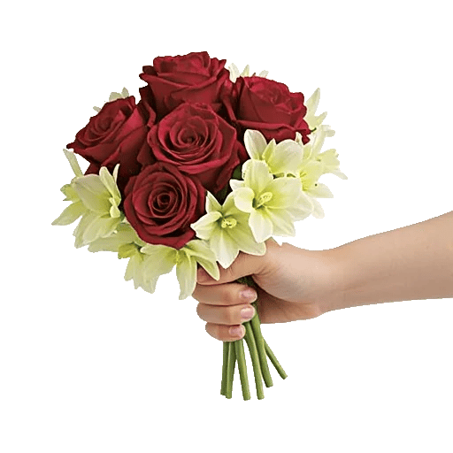 Crimson Rose Elegance