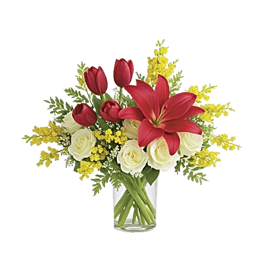 Scarlet Tulip Splendor