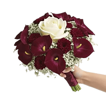 Elegant Calla Lilies