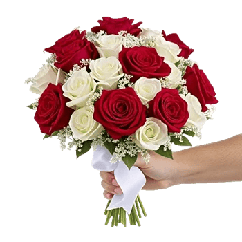 Crimson Rose Elegance