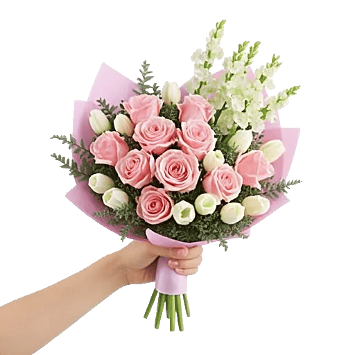 Pastel Pink Roses