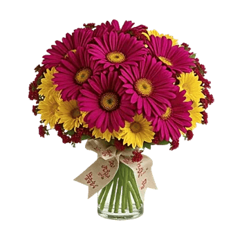 Petal Radiance Bliss