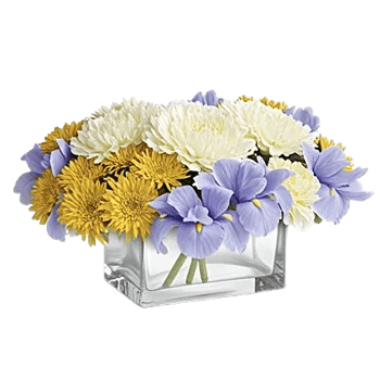 Ivory Blossom Radiance