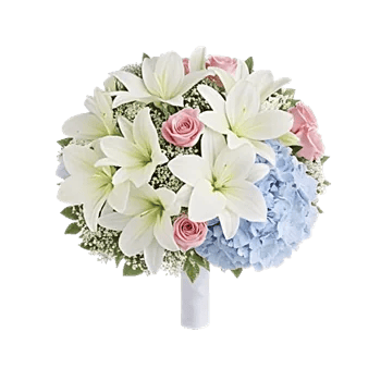 Elegant Calla Lilies