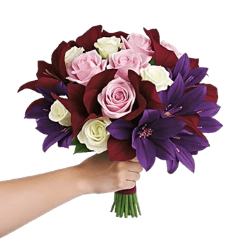 Blushing Rose Symphony