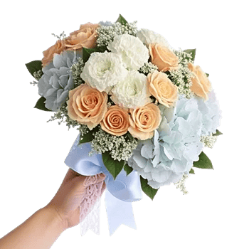 Serene Petal Harmony