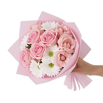 Peony Petal Harmony