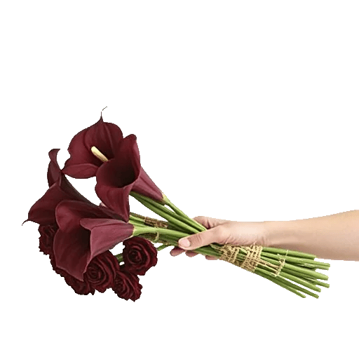 Elegant Calla Lilies