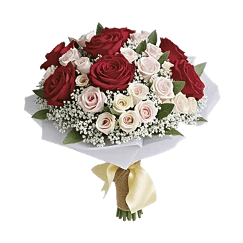 Crimson Rose Elegance