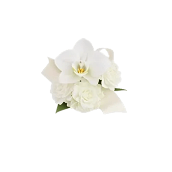 Minimalist White Orchids