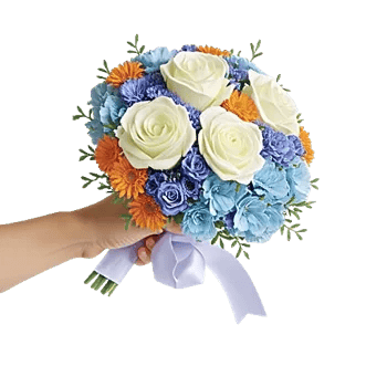 Serene Petal Harmony