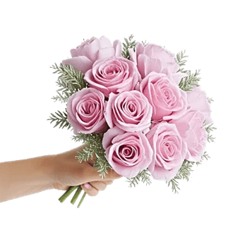 Pastel Pink Roses