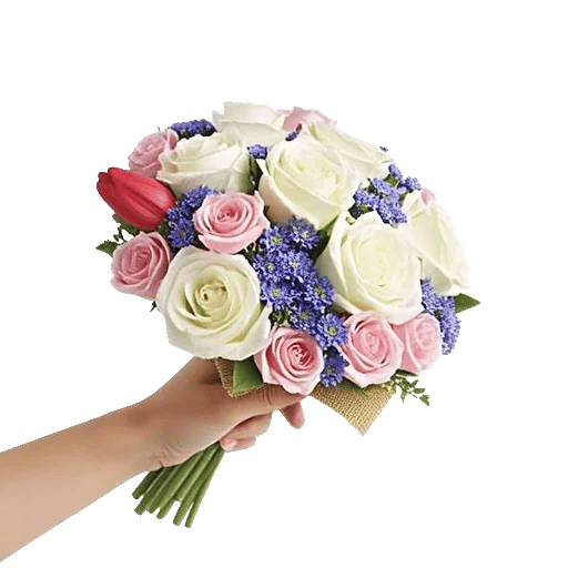 Serene Petal Harmony