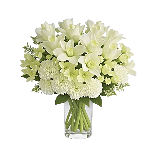 Ivory Blossom Radiance