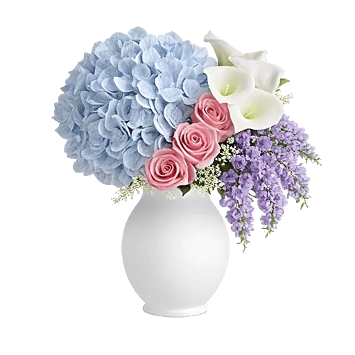 Ivory Blossom Radiance