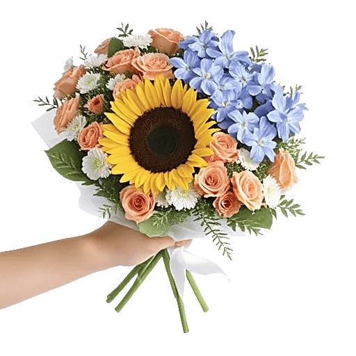 Blossom Petal Serenity