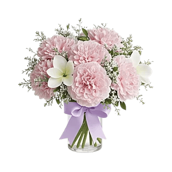 Ivory Blossom Radiance