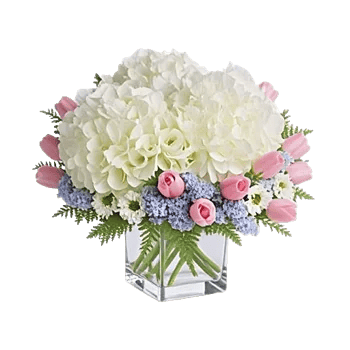 Serene Petal Harmony