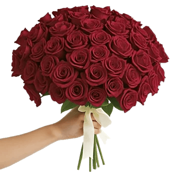 Crimson Rose Elegance