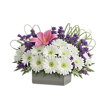 Graceful Lily Display