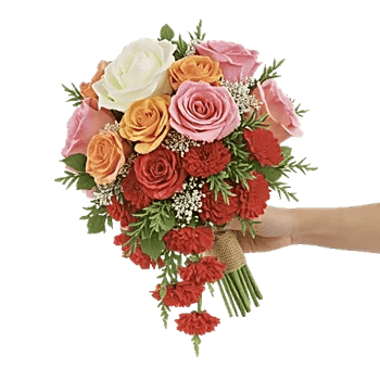 Delicate Petal Cascade