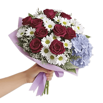 Pastel Blossom Grace