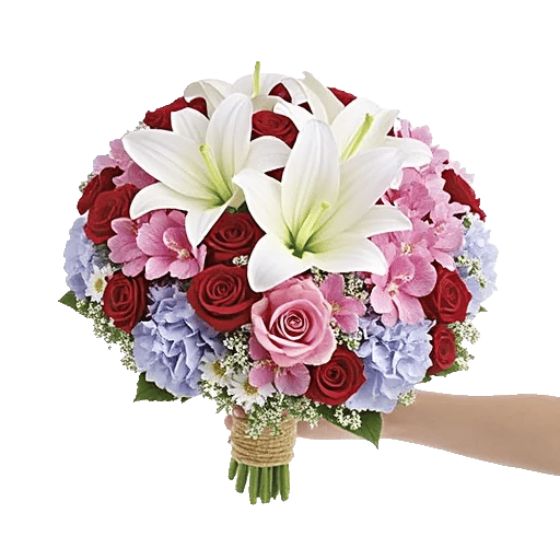 Blossom Harmony Display