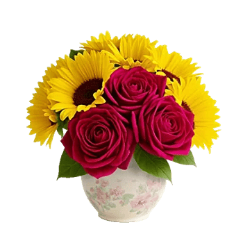 Radiant Rose Symphony