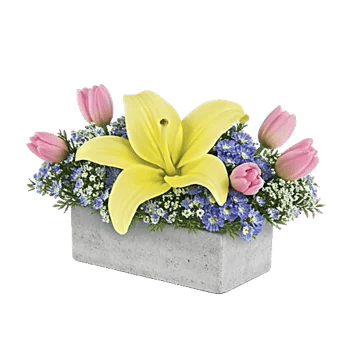 Graceful Lily Display