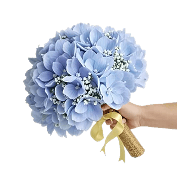 Sapphire Bloom Whisper