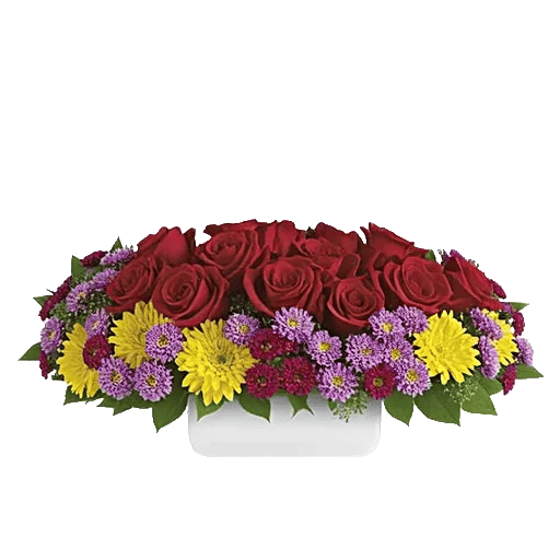 Crimson Rose Elegance