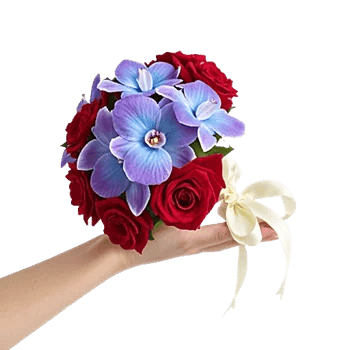 Petal Grace Harmony