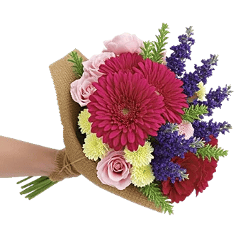 Petal Radiance Bliss