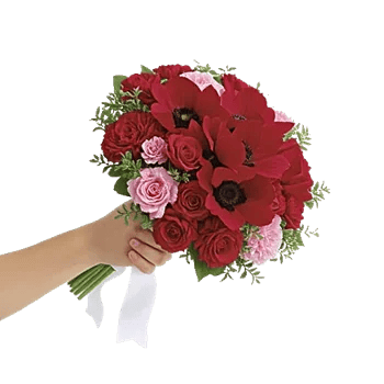 Crimson Rose Elegance