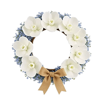 Minimalist White Orchids