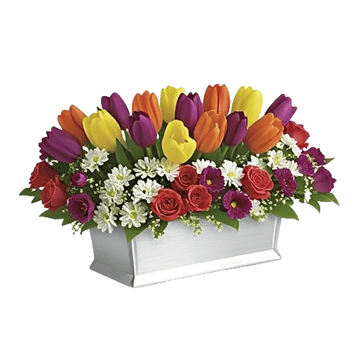 Velvet Tulip Display