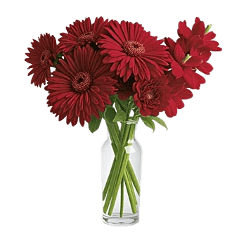 Crimson Blossom Harmony