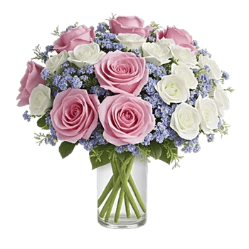 Petal Softness Display