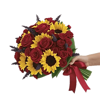 Crimson Rose Elegance