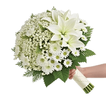Ivory Garden Grace
