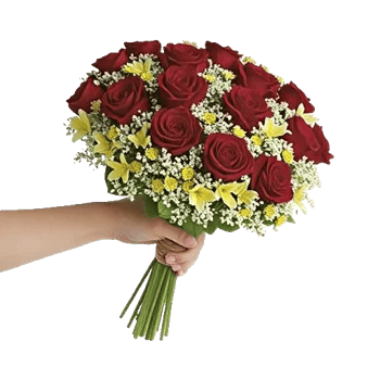 Blushing Rose Symphony