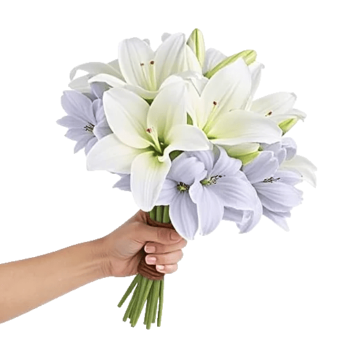 Graceful Lily Display