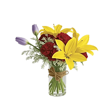 Velvet Tulip Display