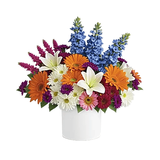 Petal Radiance Bliss