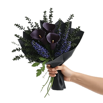 Elegant Calla Lilies